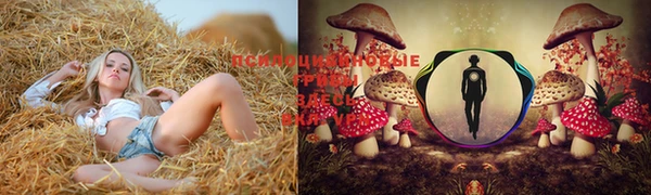 винт Балабаново