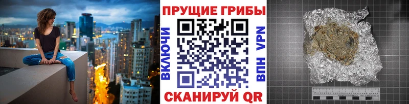 Купить Гудермес Псилоцибиновые грибы Psilocybe